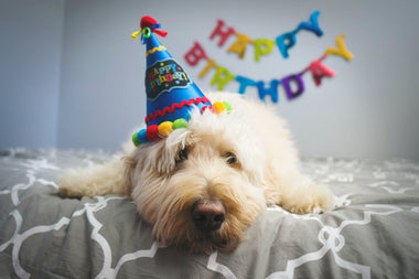 5 Ways to Say Happy Birthday While Social Distancing