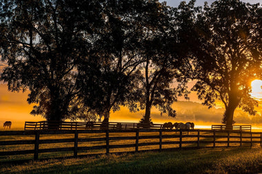 Our Employee World Photography Day Contest