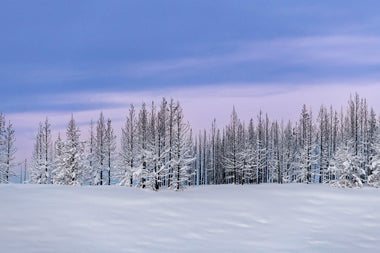 7 Winter Photography Tips