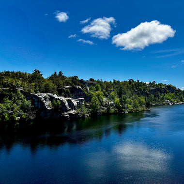 Spring Awakens: Capturing the Quiet Beauty of the Season