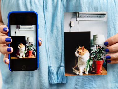 5 Options to Store and Display Your Prints