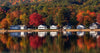 reflections of trees and houses on a lake
