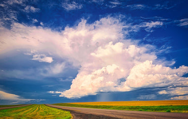 The Rain Tastes Sweeter After The Storm