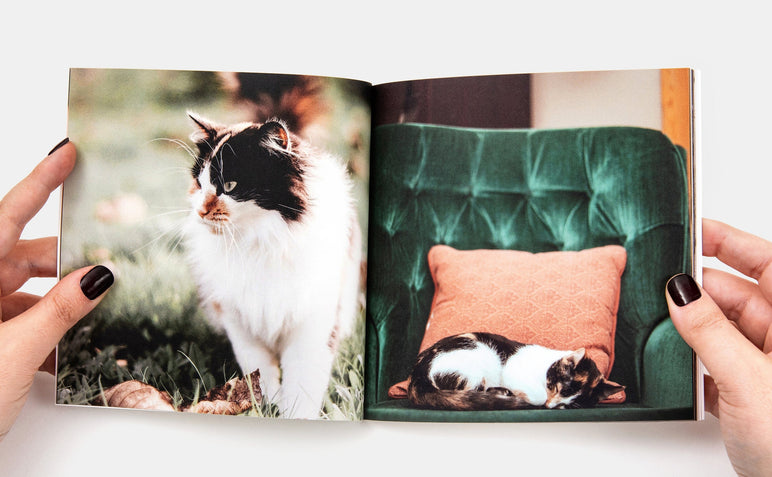 A Buzz Book being held open by a woman, the book pages feature two photos of rad looking cats.