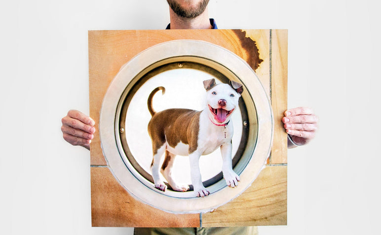 24x24" Square Photo Print being held up by a man. The Photo Print features a picture of a happy looking dog.