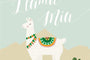 Llama Mia-Postcards-Nations Photo Lab-Portrait-Aero Blue-Nations Photo Lab