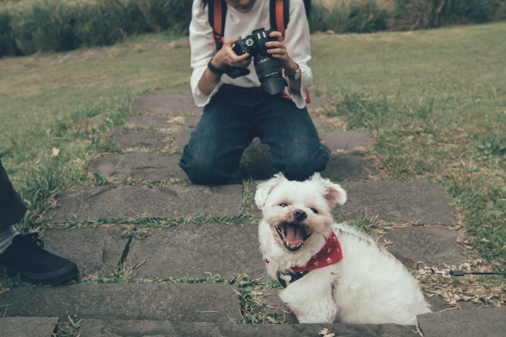 photographer with dog