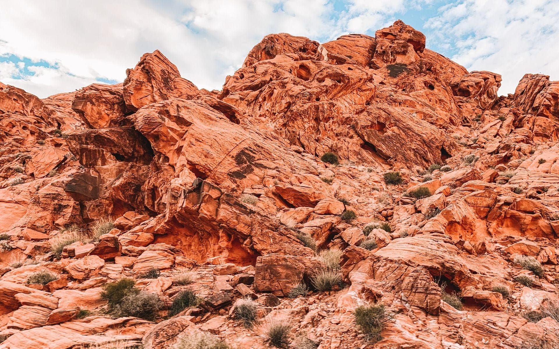 A Photographer's Guide to Valley of Fire State Park Nations Photo Lab