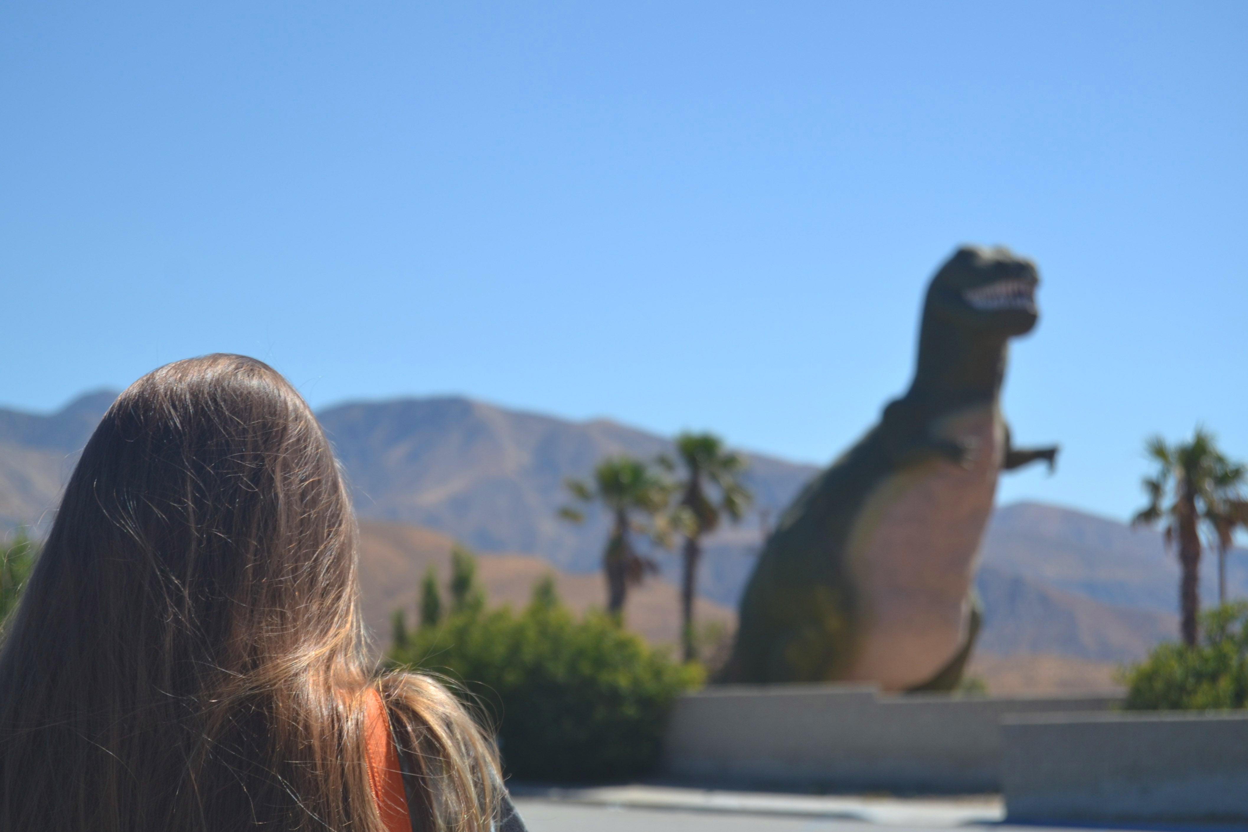 Image of the back of a woman's head, framing her looking at a life-size plastic dinosaur