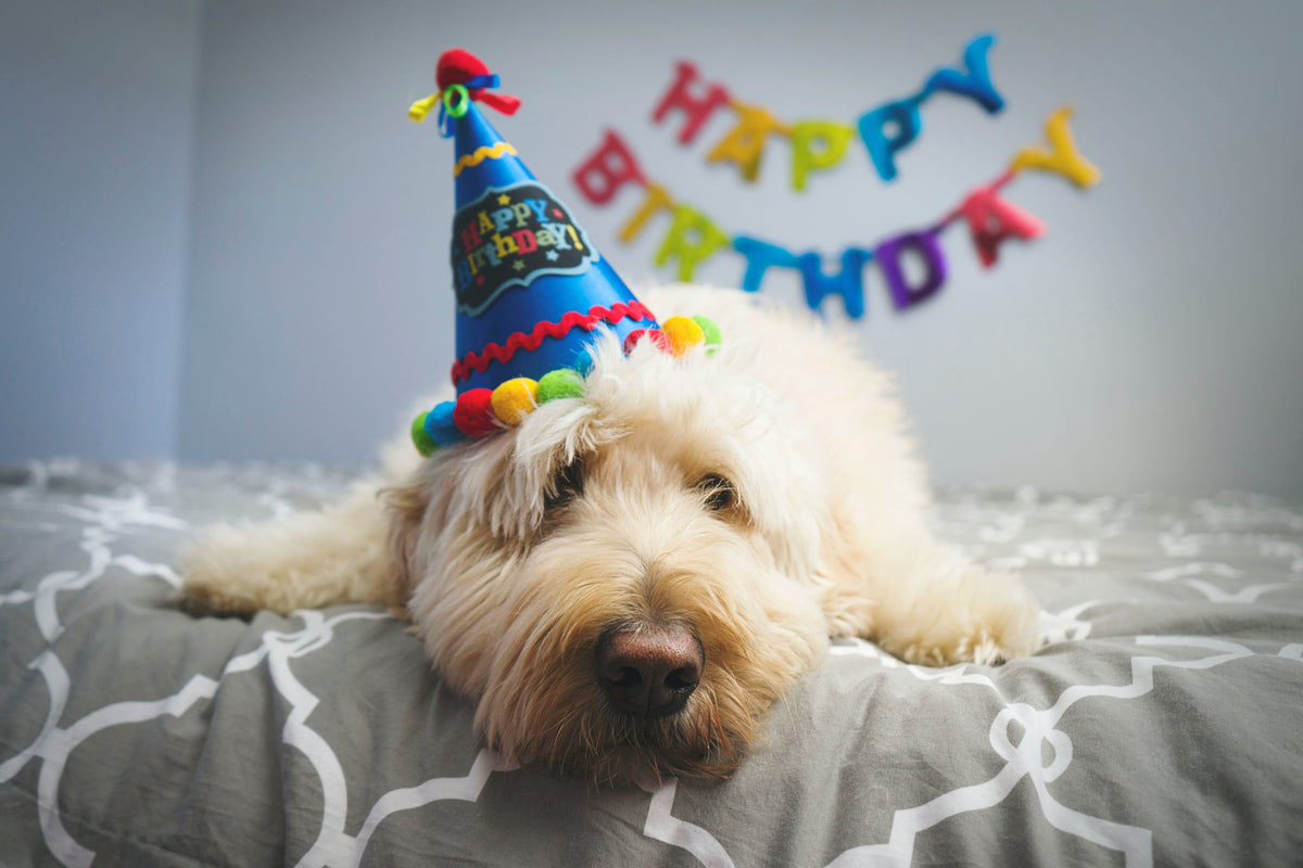 5 Ways to Say Happy Birthday While Social Distancing