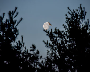 Our Employee World Photography Day Contest