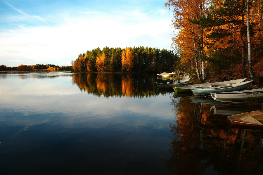 lake lined with fall trees