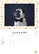 Happiest Year-Desk Calendars-Nations Photo Lab-Nations Photo Lab