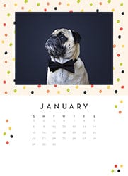 Happiest Year-Desk Calendars-Nations Photo Lab-Nations Photo Lab