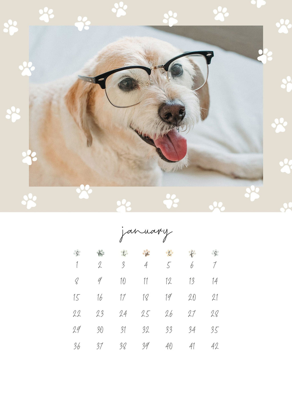 Calanders Dog Dog Days | Desk Calendars | Nations Photo Lab