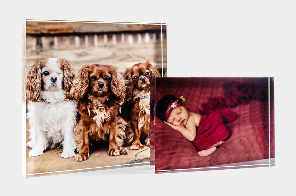 Set of two Acrylic Blocks, one 8x8" and the other 5x7".  The 5x7" Acrylic Block features a photo of an infant and the 8x8" Acrylic Block has a photo of three dogs. 
