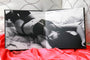 Image of an open Boudoir Album99 spread featuring a woman in lingerie.