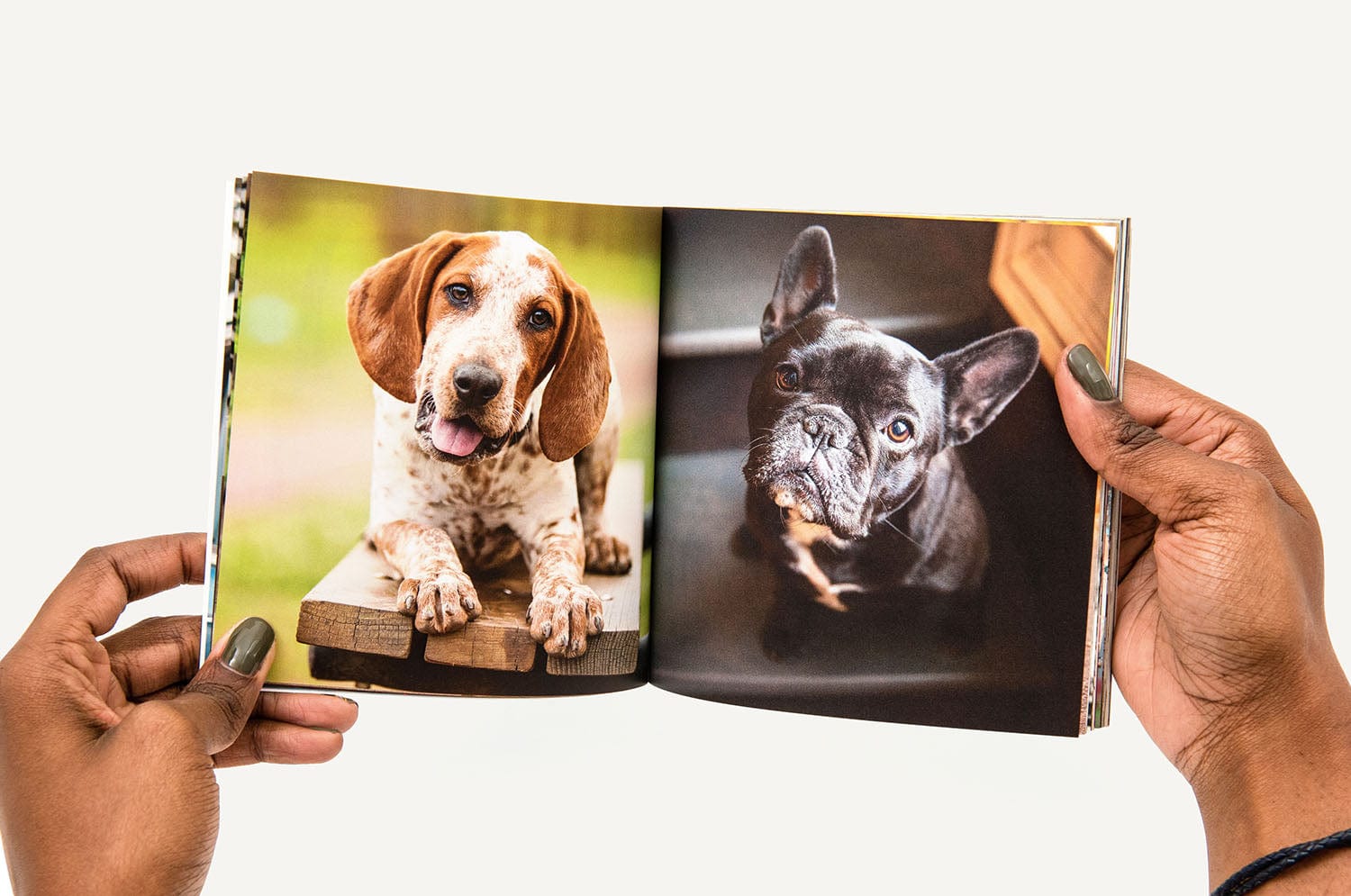 Welcome Baby | Buzz Books | Nations Photo Lab