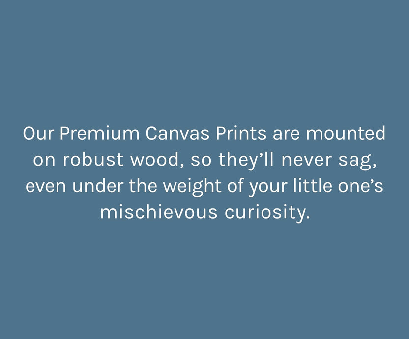 Premium Canvas Prints Print Photos on Canvas Nations Photo Lab