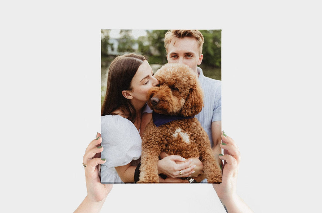 11x14" Portrait Canvas Print featuring a photo from an engagement shoot with the couple's dog