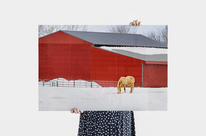 Classic Canvas Prints