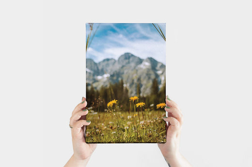 Classic Canvas Prints