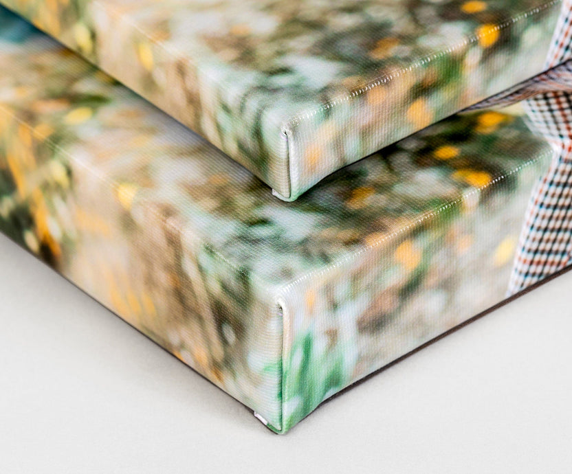 Canvas Prints Nations Photo Lab