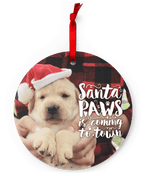 Santa Paws