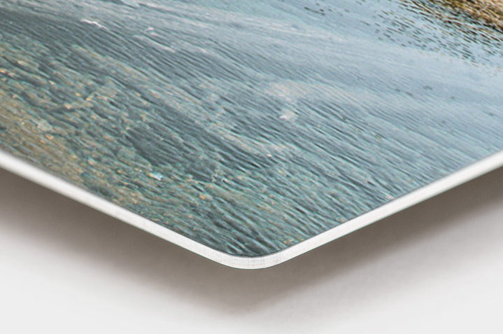 Metal Prints