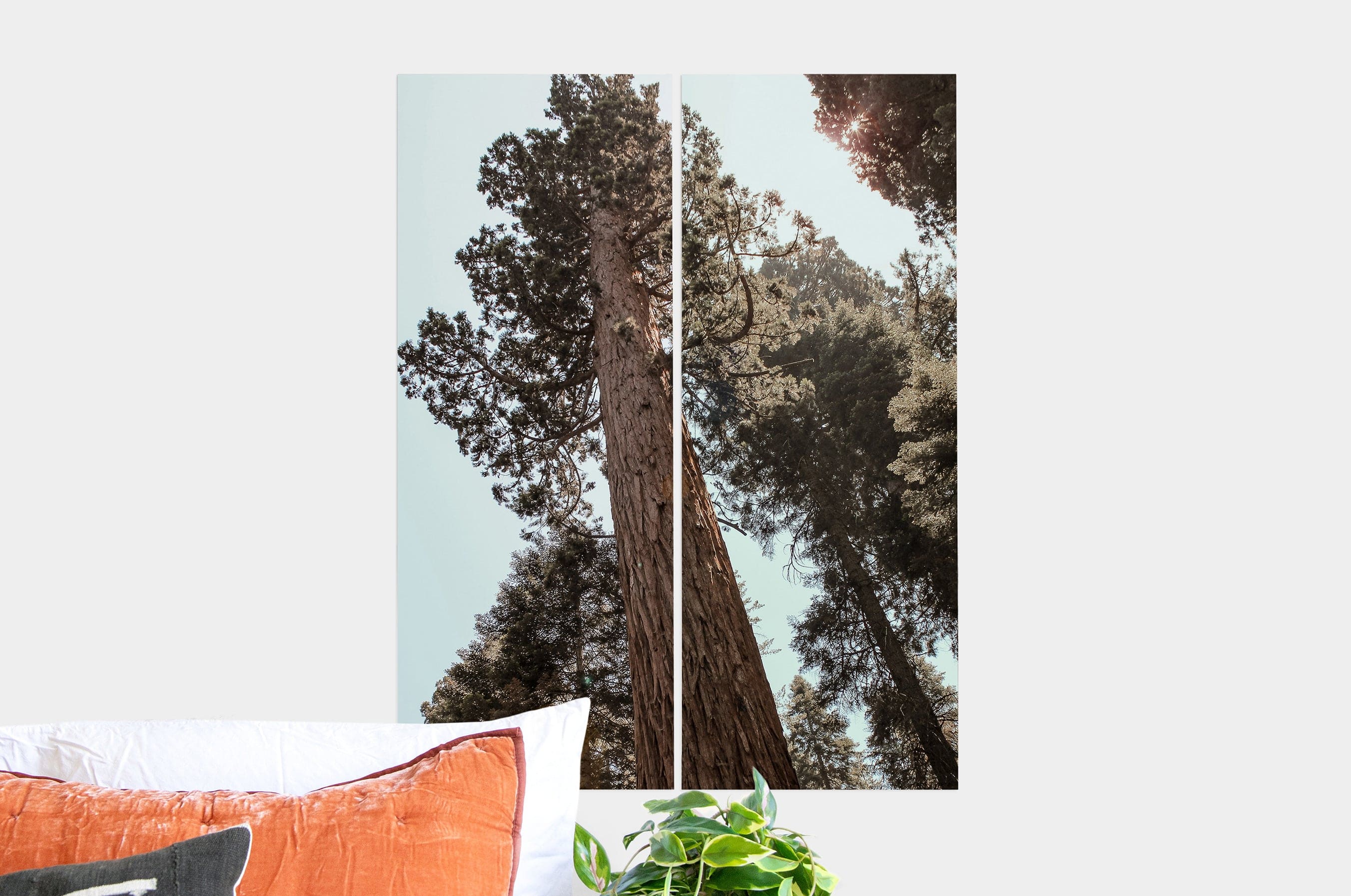 10x26 Prints | Order Professional Photo Prints | Nations Photo Lab