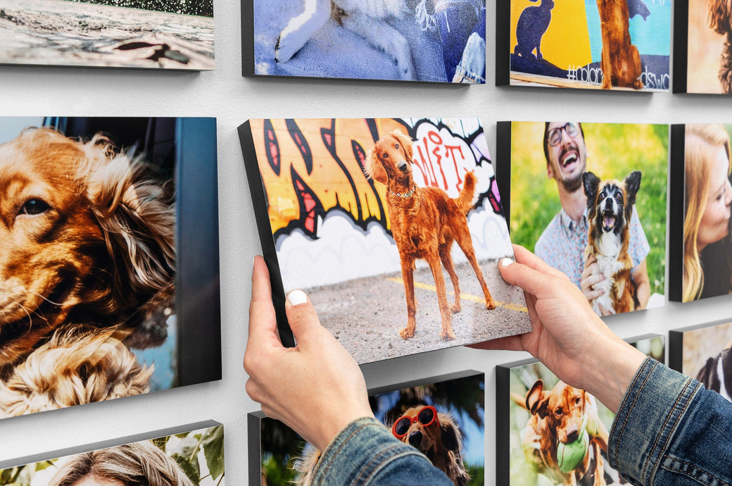 Standing Print Standout Print Mounting | Nations Photo Lab