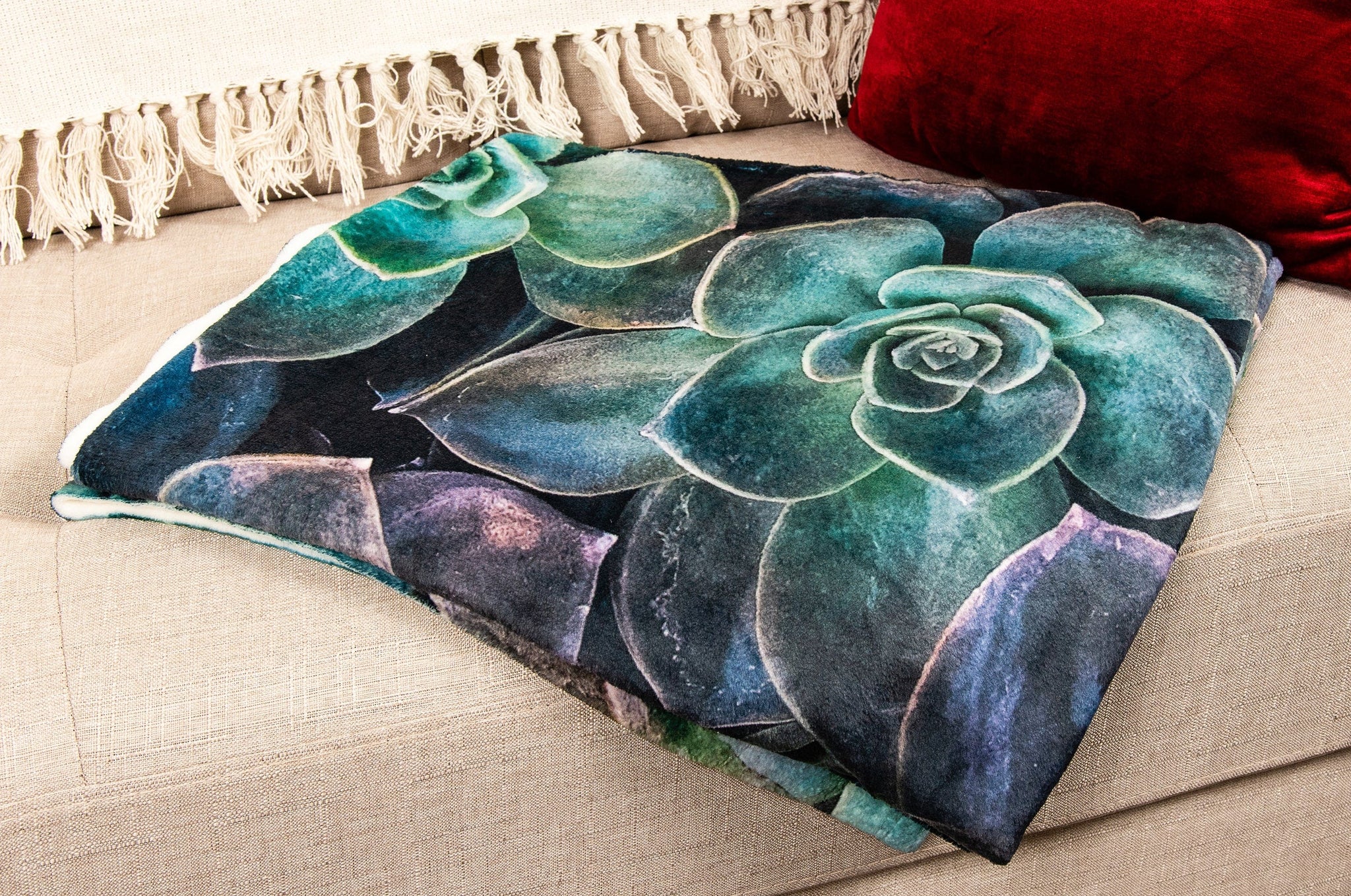 Photo Blanket with a picture of a group of succulents. 