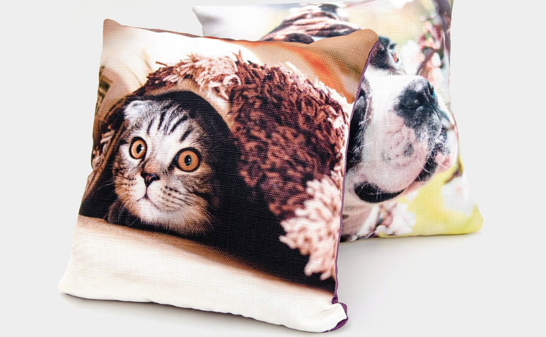 Two Photo Pillows, the front Pillow features a photo of a cat.