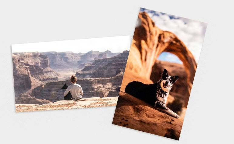 Two 4x9" Pano Photo Prints features pictures of a woman and her dog in the desert.