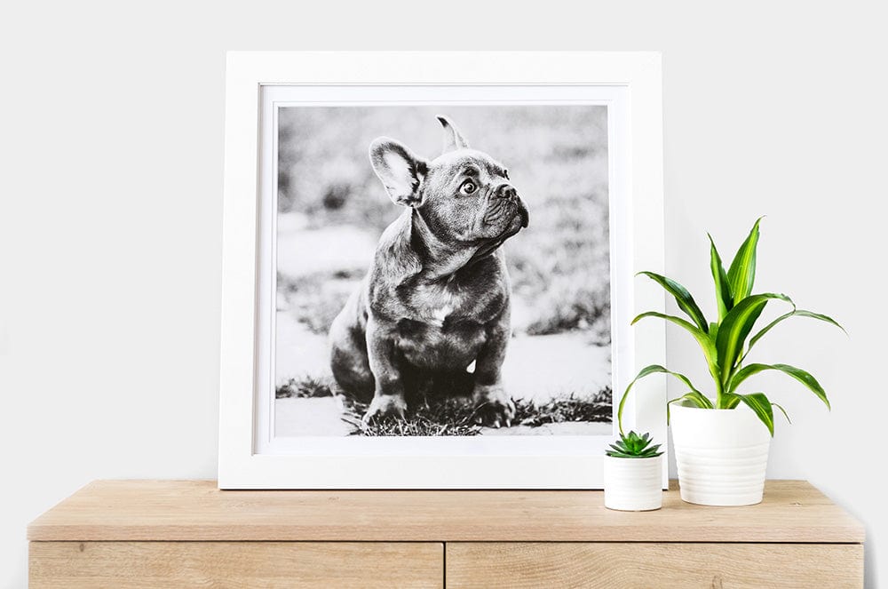 24x24 Prints | Shop 24x24 Size Photo Prints | Nations Photo Lab