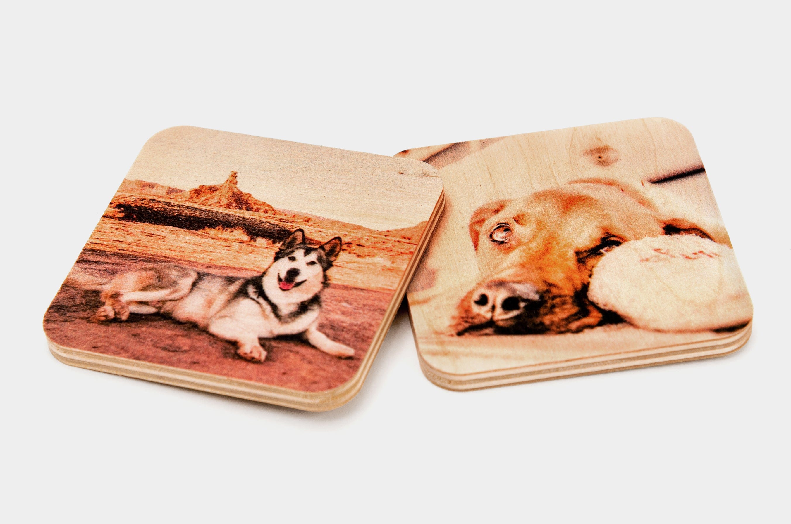 Nations Photo Lab Photo Magnets - Thumbnail 3