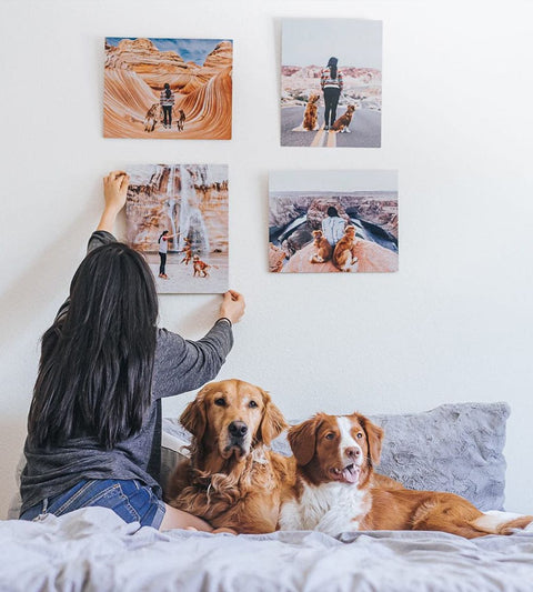 Love the quality of the prints I receive from Nations Photo Lab