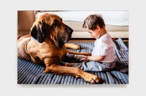 Wall-Guide-Acrylic Playing & bonding of pet and baby shot of a variety of sizes of - Nations Photo Lab