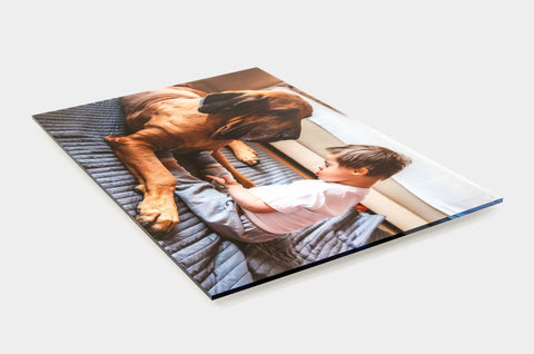 Wall-Guide-Acrylic - Bonding of pet dog and baby shot of a variety of sizes of Acrylic - Nations Photo Lab