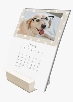 Dog Days-Desk Calendars-Nations Photo Lab-Nations Photo Lab