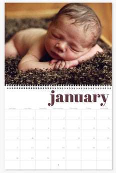 Bold and Bright Premium Wall Calendar