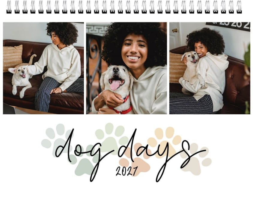 Dog Days