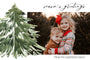 Evergreen Greetings-Holiday Photo Greeting Cards-Nations Photo Lab-Landscape-Como-Merry Christmas-Nations Photo Lab