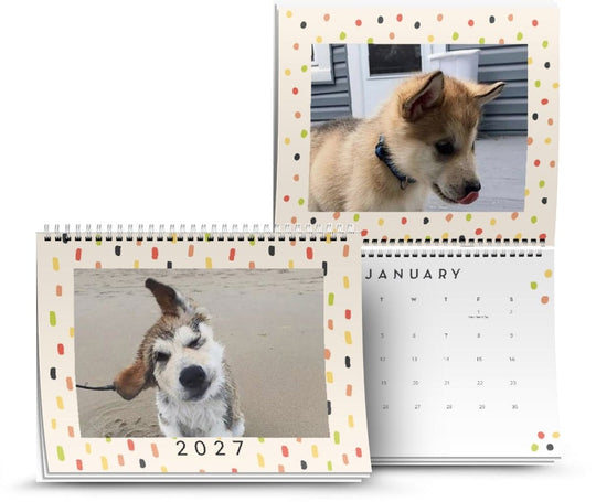 Happiest Year