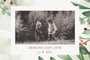 Painted Holly