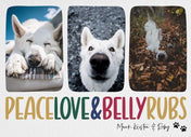 Peace Love and Bellyrubs