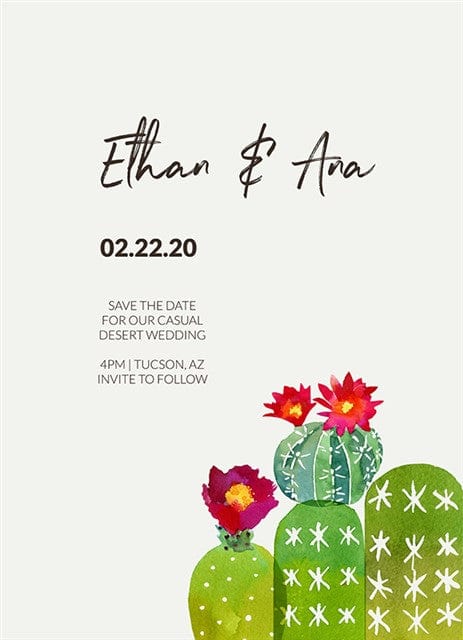 Cacti Celebration-Postcards-Nations Photo Lab-Nations Photo Lab