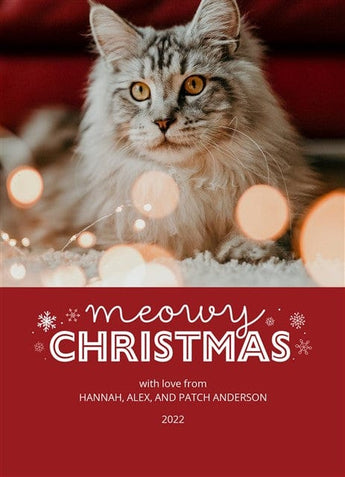 Christmas Cat-Postcards-Nations Photo Lab-Portrait-Nations Photo Lab