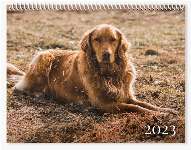 Classic White-Wall Calendars-Nations Photo Lab-8.5x11"-Nations Photo Lab