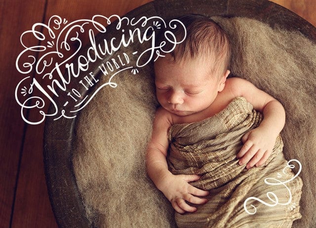 Happy Introduction Happy Introduction | Birth Announcements Cards 2026 | Nations Photo Lab